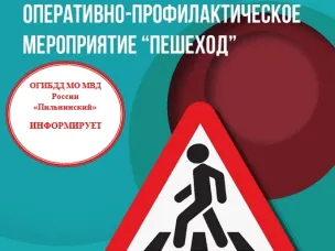 ОГИБДД МО МВД России "Пильнинский" проводится оперативно-профилактические мероприятия «Внимание пешеход»!