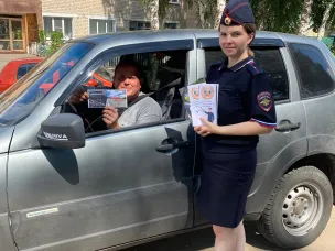 В Пильне автоинспекторы разъяснили водителям опасность выезда на полосу встречного движения