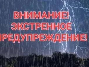 ЭКСТРЕННОЕ ПРЕДУПРЕЖДЕНИЕ