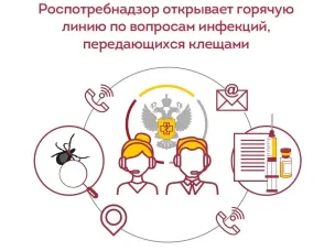 Роспотребнадзор информирует:  Профилактика КВЭ