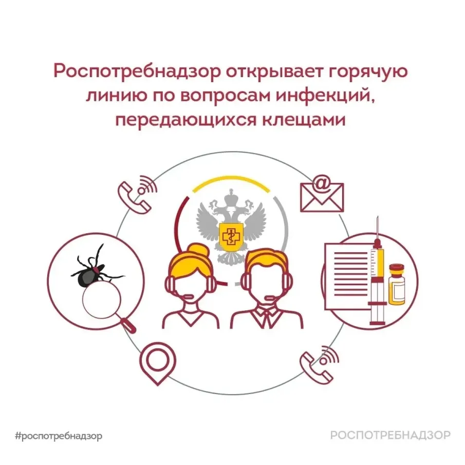 Роспотребнадзор информирует:  Профилактика КВЭ