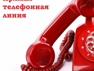 В Пильне полицейские совместно с общественниками проведут прямую телефонную линию
