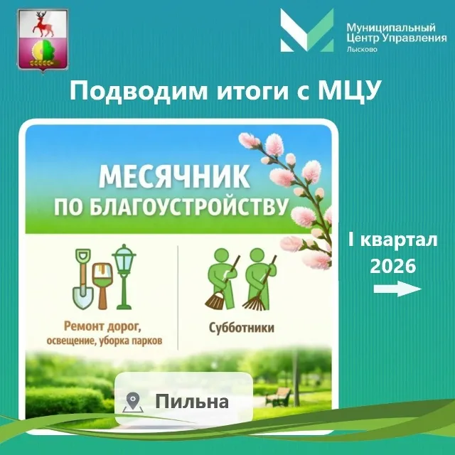 В I квартале текущего года Межмуниципальный центр управления обработал 24 сообщения, которые поступили от жителей Пильнинского округа через социальные сети.