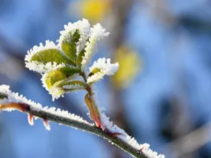 В Нижегородскую область вернутся заморозки, дожди и даже снег