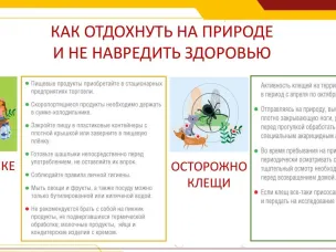 Рекомендации Роспотребнадзора при организации семейного пикника
