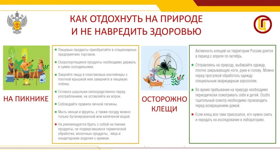 Рекомендации Роспотребнадзора при организации семейного пикника