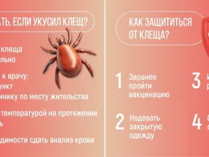 Роспотребнадзор напоминает, что делать, если присосался клещ