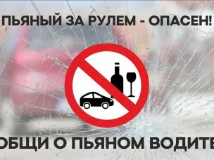 Сообщивших о пьяных водителях будут поощрять материально