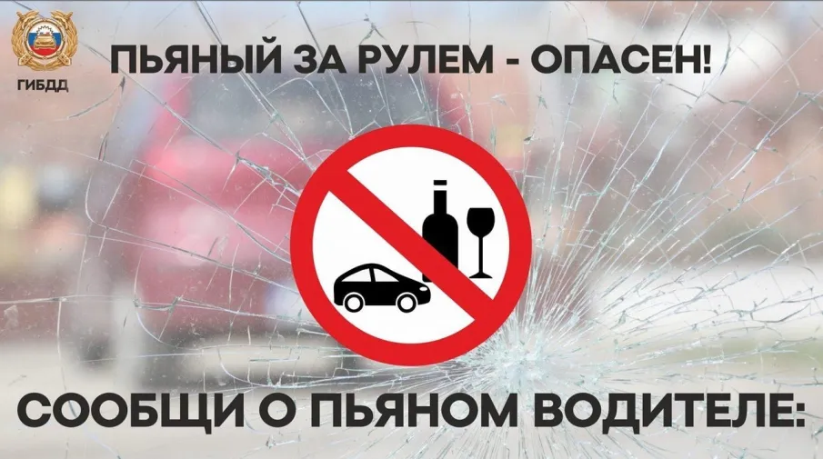 Сообщивших о пьяных водителях будут поощрять материально