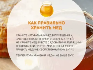 Роспотребнадзор рассказывает, как правильно выбирать и хранить мед