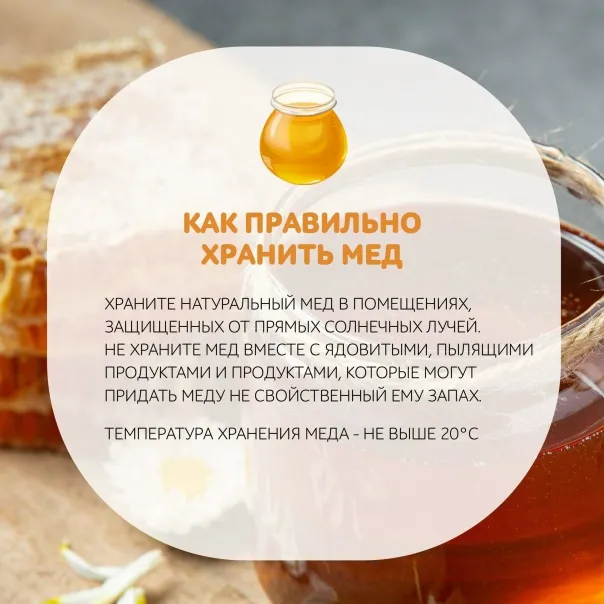 Роспотребнадзор рассказывает, как правильно выбирать и хранить мед