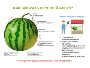 Роспотребнадзор информирует:Выбираем арбуз: сладкий, вкусный, безопасный