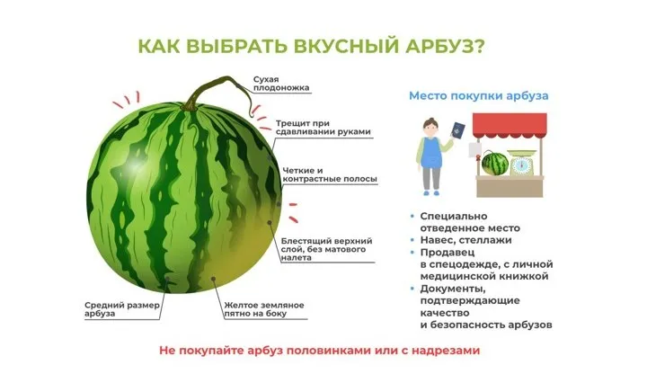Роспотребнадзор информирует:Выбираем арбуз: сладкий, вкусный, безопасный