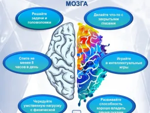Семь столпов здорового мозга