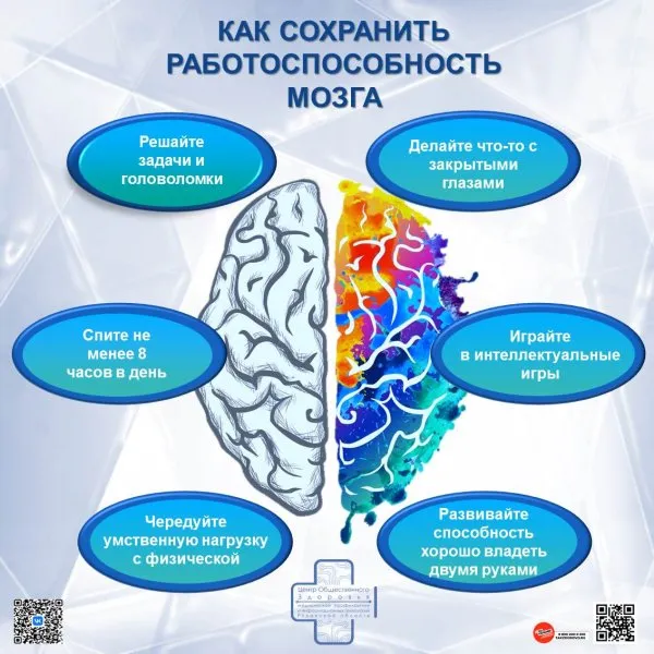 Семь столпов здорового мозга
