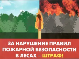 30 мая 2022 года опубликован закон от 28 мая 2022 г. № 141-ФЗ «О внесении изменений в Кодекс Российской Федерации об административных правонарушениях», который вносит изменения в статью 20.4 КоАП РФ, значительно увеличивая административные штрафы за нарушения требований пожарной безопасности.