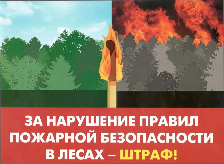 30 мая 2022 года опубликован закон от 28 мая 2022 г. № 141-ФЗ «О внесении изменений в Кодекс Российской Федерации об административных правонарушениях», который вносит изменения в статью 20.4 КоАП РФ, значительно увеличивая административные штрафы за нарушения требований пожарной безопасности.